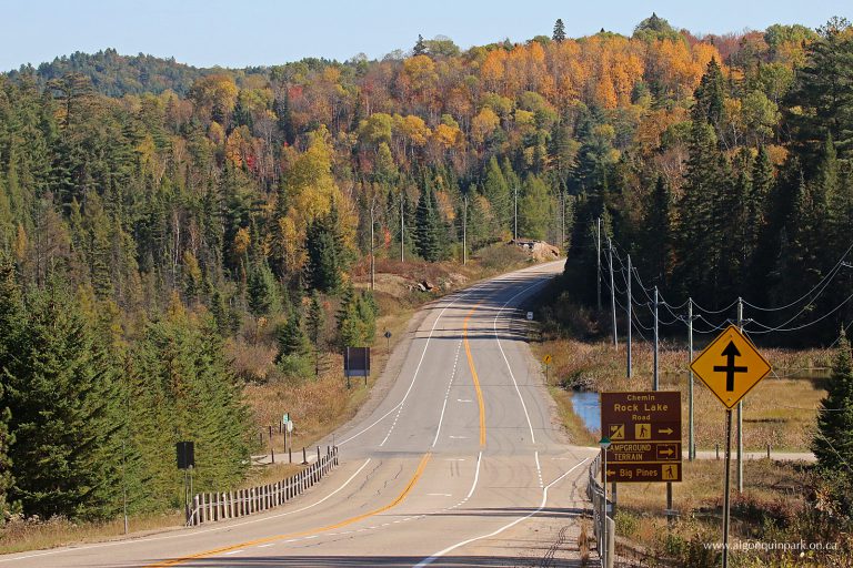 Algonquin Park under total fire ban