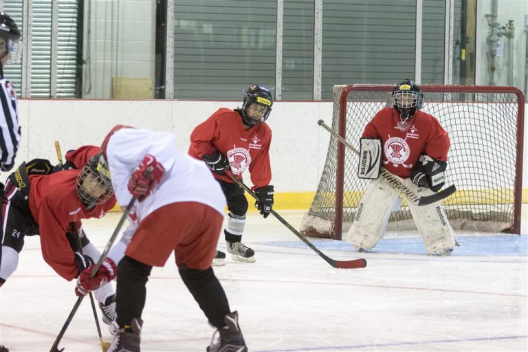 Muskoka Summer Hockey School Reaching Hundreds of Kids