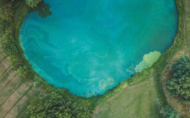 Blue-green algae confirmed in Seguin, Armour