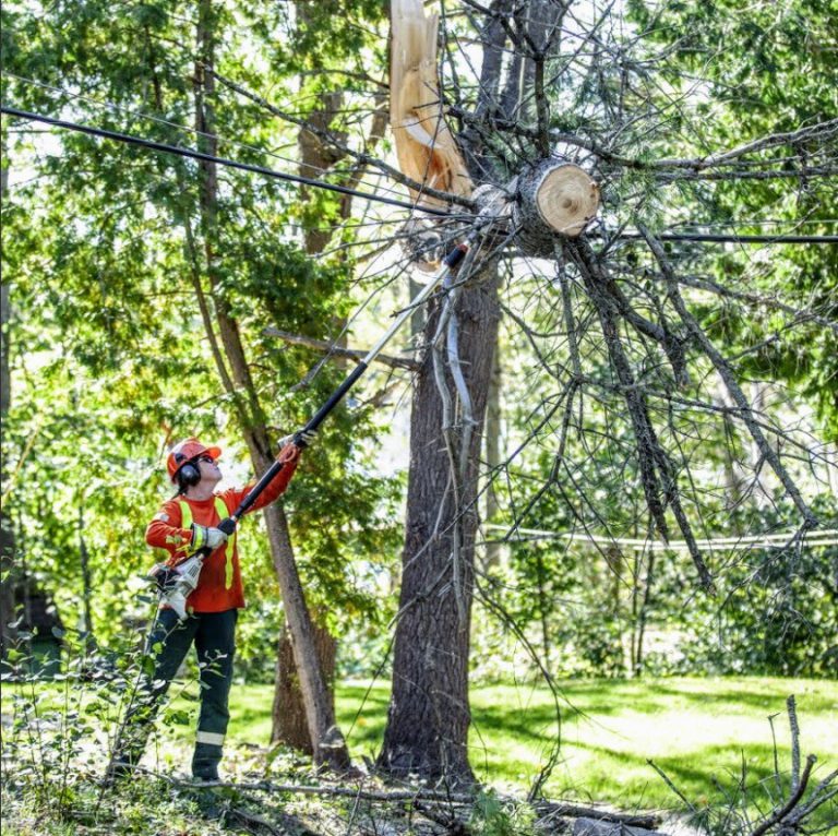 Government to launch campaign for more skilled trades