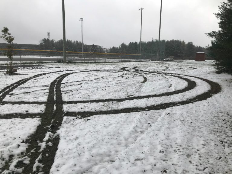 Huntsville Ball Diamond Turf Torn Up By Vandals