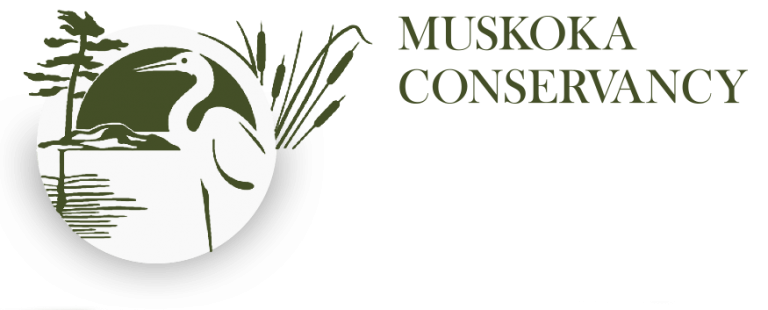 Muskoka Conservancy AGM next month