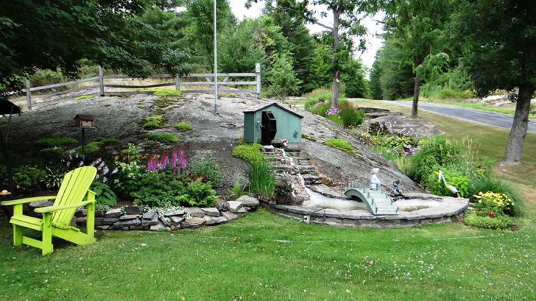 Daisy Awards for best landscapers or green thumbs starting back up