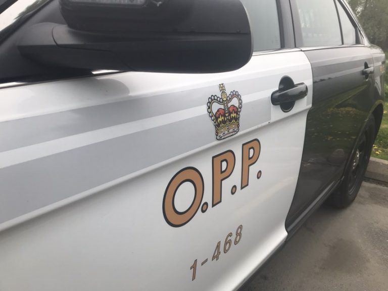 OPP Nab Robbery Suspects Following Altercation At Local Motel