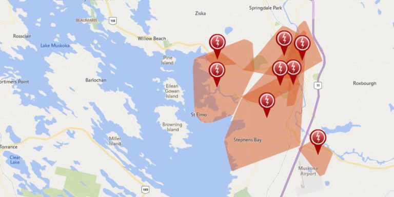 Downed tree knocking out power in Bracebridge