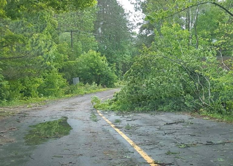 Severe Weather Leads To Several Road Closures In Bracebridge