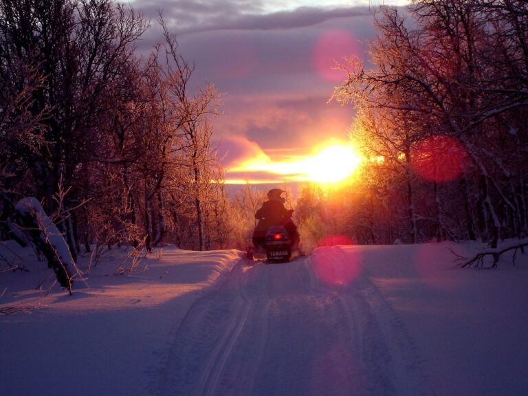 snowmobile winter trails sled machine