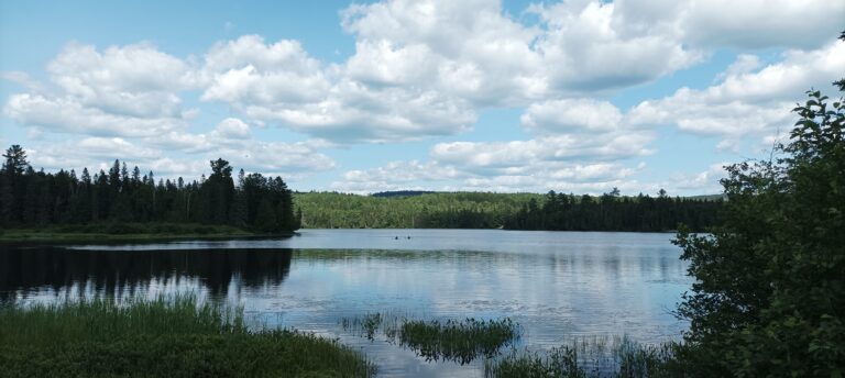 Health Unit issues warning for blue-green algae bloom