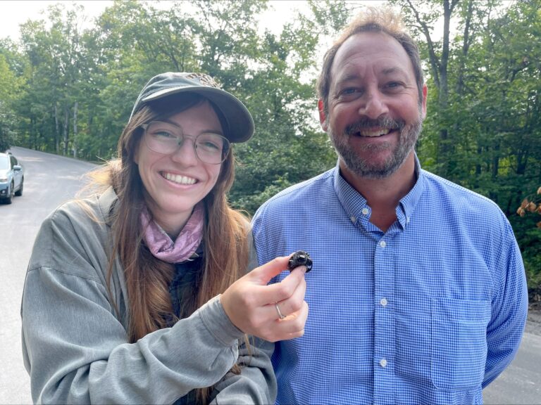 ‘Saving Turtles’ protects nest near Gravenhurst construction site