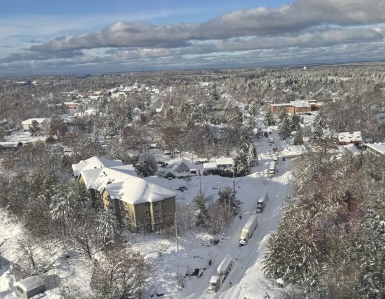 snow, muskoka, storm