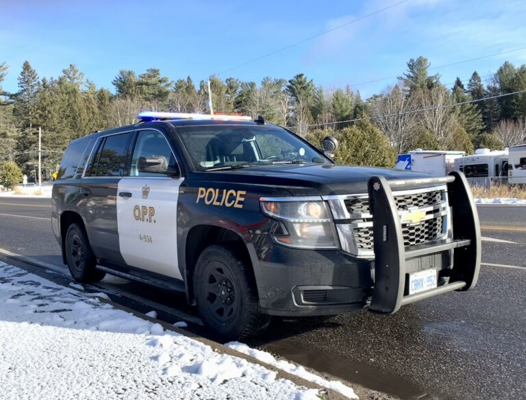 OPP, Snow, Winter, cruiser